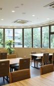 Туры в отель Okayama Koraku Hotel Туры в отель Okayama Koraku Hotel