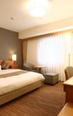 Туры в отель Okayama Koraku Hotel Туры в отель Okayama Koraku Hotel