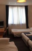 Туры в отель Okayama Koraku Hotel Туры в отель Okayama Koraku Hotel