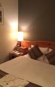 Туры в отель Okayama Koraku Hotel Туры в отель Okayama Koraku Hotel