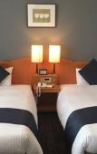 Туры в отель Okayama Koraku Hotel Туры в отель Okayama Koraku Hotel