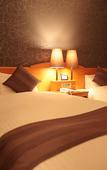Туры в отель Okayama Koraku Hotel Туры в отель Okayama Koraku Hotel