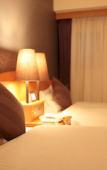 Туры в отель Okayama Koraku Hotel Туры в отель Okayama Koraku Hotel