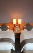 Туры в отель Okayama Koraku Hotel Туры в отель Okayama Koraku Hotel