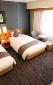 Туры в отель Okayama Koraku Hotel Туры в отель Okayama Koraku Hotel