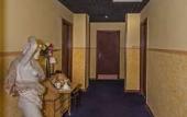 Туры в отель Hotel Rex Туры в отель Hotel Rex