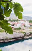 Туры в отель Guest House City Star Туры в отель Guest House City Star
