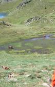 Туры в отель Himalaia Soldeu Туры в отель Himalaia Soldeu