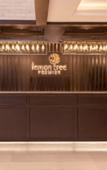Туры в отель Lemon Tree Premier Mumbai Intl. Airport Туры в отель Lemon Tree Premier Mumbai Intl. Airport
