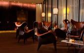 Туры в отель Hotel 57 Туры в отель Hotel 57