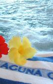 Туры в отель Laguna Garden Hotel Туры в отель Laguna Garden Hotel