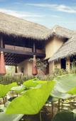 Туры в отель Jetwing Vil Uyana, A Luxury Reserve Туры в отель Jetwing Vil Uyana, A Luxury Reserve