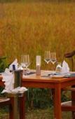 Туры в отель Jetwing Vil Uyana, A Luxury Reserve Туры в отель Jetwing Vil Uyana, A Luxury Reserve