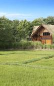 Туры в отель Jetwing Vil Uyana, A Luxury Reserve Туры в отель Jetwing Vil Uyana, A Luxury Reserve