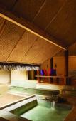Туры в отель Jetwing Vil Uyana, A Luxury Reserve Туры в отель Jetwing Vil Uyana, A Luxury Reserve