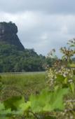 Туры в отель Jetwing Vil Uyana, A Luxury Reserve Туры в отель Jetwing Vil Uyana, A Luxury Reserve