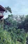Туры в отель Jetwing Vil Uyana, A Luxury Reserve Туры в отель Jetwing Vil Uyana, A Luxury Reserve