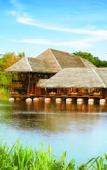 Туры в отель Jetwing Vil Uyana, A Luxury Reserve Туры в отель Jetwing Vil Uyana, A Luxury Reserve
