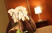 Туры в отель Dorsett Wuhan (walking street) Туры в отель Dorsett Wuhan (walking street)