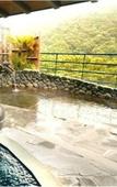 Туры в отель Hakone-Ginyu Туры в отель Hakone-Ginyu