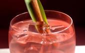 Туры в отель Kimpton Banneker Hotel by IHG Туры в отель Kimpton Banneker Hotel by IHG