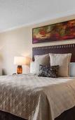 Туры в отель Omni Providence Hotel Туры в отель Omni Providence Hotel
