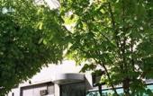 Туры в отель Hotel Engadina Туры в отель Hotel Engadina