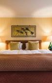Туры в отель Royal Plaza Montreux Туры в отель Royal Plaza Montreux