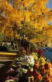 Туры в отель Royal Plaza Montreux Туры в отель Royal Plaza Montreux