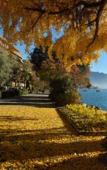 Туры в отель Royal Plaza Montreux Туры в отель Royal Plaza Montreux