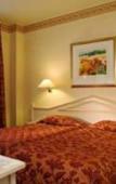 Туры в отель Hotel Bristol Туры в отель Hotel Bristol