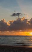 Туры в отель Elite Vacation Club Туры в отель Elite Vacation Club