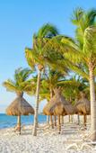 Туры в отель Elite Vacation Club Туры в отель Elite Vacation Club