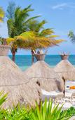 Туры в отель Elite Vacation Club Туры в отель Elite Vacation Club