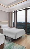 Туры в отель Hilton Garden Inn Leshan shizhong Туры в отель Hilton Garden Inn Leshan shizhong