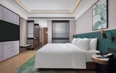 Туры в отель Hilton Garden Inn Leshan shizhong Туры в отель Hilton Garden Inn Leshan shizhong