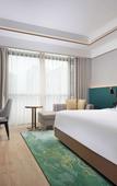 Туры в отель Hilton Garden Inn Leshan shizhong Туры в отель Hilton Garden Inn Leshan shizhong