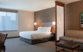 Туры в отель Hyatt Place Chicago-South/University Medical Center Туры в отель Hyatt Place Chicago-South/University Medical Center