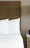 Туры в отель DoubleTree by Hilton Orlando Airport Туры в отель DoubleTree by Hilton Orlando Airport