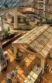 Туры в отель DoubleTree by Hilton Orlando Airport Туры в отель DoubleTree by Hilton Orlando Airport
