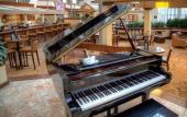 Туры в отель DoubleTree by Hilton Orlando Airport Туры в отель DoubleTree by Hilton Orlando Airport