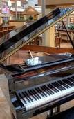 Туры в отель DoubleTree by Hilton Orlando Airport Туры в отель DoubleTree by Hilton Orlando Airport