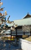 Туры в отель Richmond Hotel Narita Туры в отель Richmond Hotel Narita