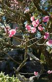 Туры в отель Richmond Hotel Narita Туры в отель Richmond Hotel Narita