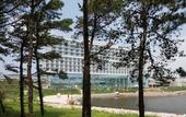 Туры в отель Nest Hotel Incheon Туры в отель Nest Hotel Incheon