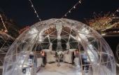 Туры в отель The Watergate Hotel Туры в отель The Watergate Hotel