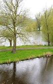 Туры в отель Amrath Airport Hotel Rotterdam Туры в отель Amrath Airport Hotel Rotterdam