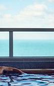 Туры в отель Nanki-Shirahama Marriott Hotel Туры в отель Nanki-Shirahama Marriott Hotel