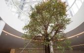 Туры в отель Swiss-Garden Hotel & Residences, Genting Highlands Туры в отель Swiss-Garden Hotel & Residences, Genting Highlands