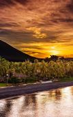Туры в отель Mejore Beach Hotel Туры в отель Mejore Beach Hotel